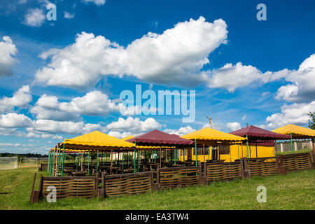 Café en plein air sur terrain vert, dans la région de Moscou, Russie Banque D'Images