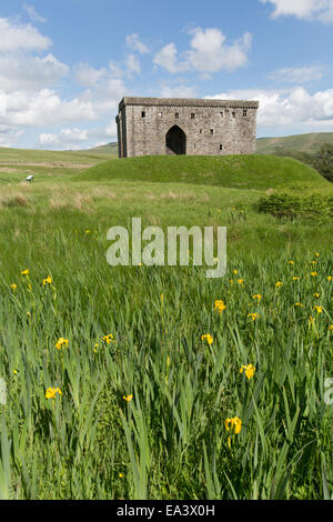 Château de l'Hermitage, en Écosse. Au début de l'été vue pittoresque des ruines historiques de l'ouest du château de l'Hermitage façade. Banque D'Images