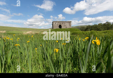 Château de l'Hermitage, en Écosse. Au début de l'été vue pittoresque des ruines historiques de l'ouest du château de l'Hermitage façade. Banque D'Images