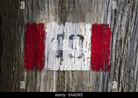 Chemin de randonnée signe sur tree Banque D'Images