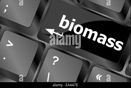 Les touches du clavier avec le bouton Mot de la biomasse Banque D'Images