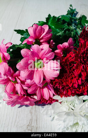 Bouquet de fleurs de chrysanthèmes sur une table en bois haut Banque D'Images
