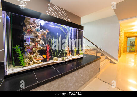 Prix interior design avec aquarium Banque D'Images