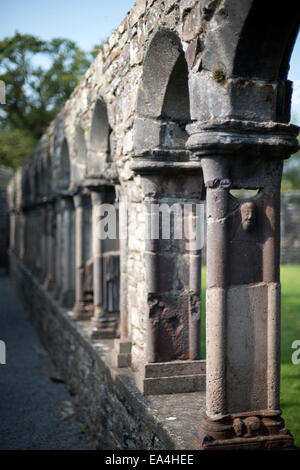 Abbaye de Jerpoint colonnade Banque D'Images