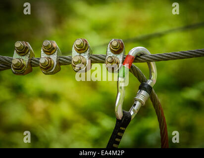 Image Sports d'escalade d'un mousqueton sur une corde de métal dans une forêt Banque D'Images