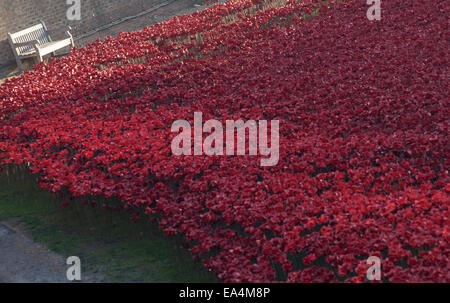 Tour de Londres, au Royaume-Uni. 6e novembre 2014. Art installation Blood a balayé les terres et les mers de rouge à la Tour de Londres, marque les 100 ans depuis la Grande-Bretagne est entré dans la Première Guerre mondiale. 888 246 coquelicots en céramique va combler le fossé de la tour par l'armistice le 11 novembre. Chaque coquelicot représente une mortalité militaire britannique pendant la guerre. Credit : Geoff Shaw/Alamy Live News Banque D'Images