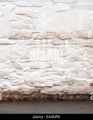 Le stuc grunge mur blanc en automne fond Banque D'Images