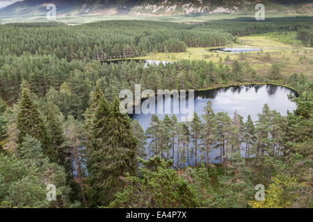 Vue sur Uath Lochans à Glen Feshie en Ecosse. Banque D'Images