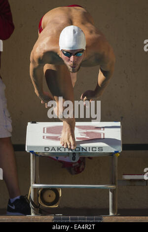 Stanford, Californie, USA. Nov 6, 2014. 5 novembre, 2014.CHRIS PICKARD, un senior de Stanford, dives sur le bloc de départ au début de la cour 50 butterfly lors d'une rencontre de natation le mercredi 5 novembre, 2014. N° 16 L'Université de Stanford a pris le sixième rang Université de Californie dans un triple non entaillée distance swim meet mercredi à Stanford's Avery Centre aquatique. © Tracy Barbutes/ZUMA/Alamy Fil Live News Banque D'Images