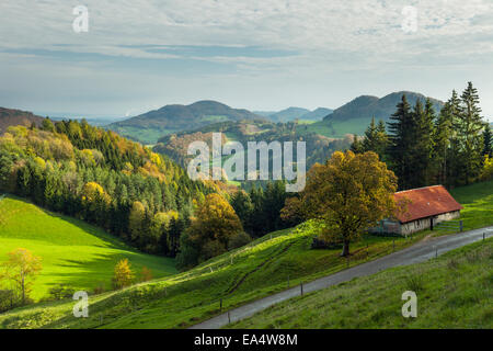 L'automne dans le jura près de läufelfingen, canton de Bâle-pays, la Suisse. Banque D'Images