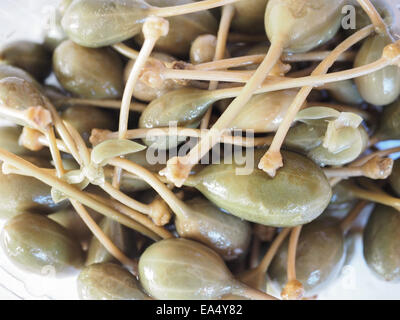 Caper berries fruits de Capparis spinosa aka caper bush ou rose Flinders Banque D'Images