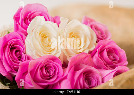 Magnifique bouquet de roses blanches et roses équatoriennes Banque D'Images