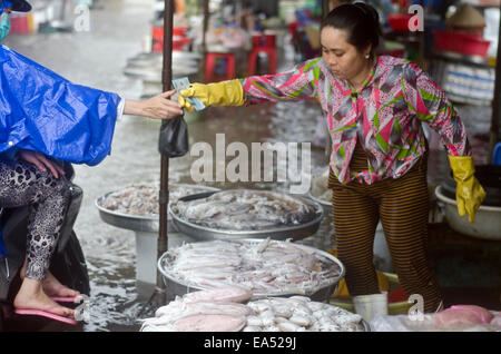 Pouvez mao marché pendant de fortes pluies de mousson,pouvez Mao,Delta du Mekong, Vietnam Banque D'Images