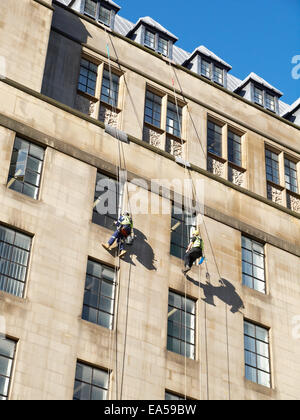 Deux laveurs de vitres sur l'hôtel de ville bâtiment extension à Manchester UK Banque D'Images