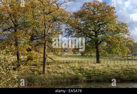 Parc autour de vieux Hardwick Hall dans le Derbyshire. Banque D'Images