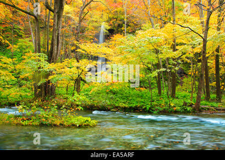 Couleurs d'automne, Aomori Prefecture, Japan Banque D'Images