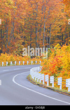 Couleurs d'automne, Aomori Prefecture, Japan Banque D'Images