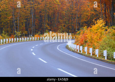 Couleurs d'automne, Aomori Prefecture, Japan Banque D'Images