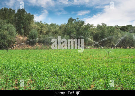 Les systèmes d'irrigation. Ciel bleu Banque D'Images