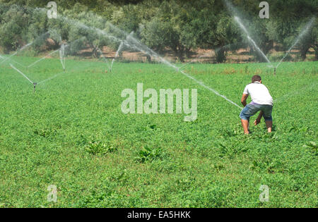 Les systèmes d'irrigation. Ciel bleu Banque D'Images