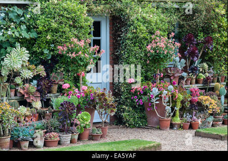 East Ruston Old Vicarage gardens, Norwich, Norfolk, Royaume-Uni. Le jardin clos Banque D'Images