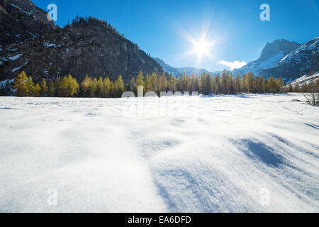 Paysage de montagne sur une journée ensoleillée avec des mélèzes dans la neige. Chute de neige au début de l'hiver et la fin de l'automne. Banque D'Images