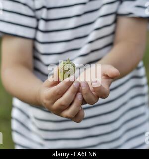 Close-up of a Boy holding un gland Banque D'Images