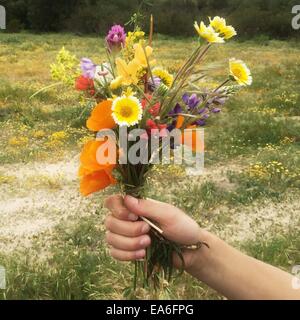 Hand holding bouquet de fleurs Banque D'Images