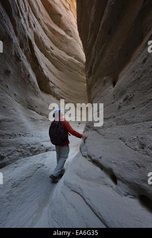 États-unis, Californie, Anza-Borrego Desert State Park, l'homme de la randonnée à travers l'emplacement de Palm Canyon Banque D'Images