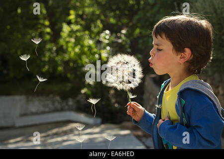 Boy blowing dandelion clock Banque D'Images