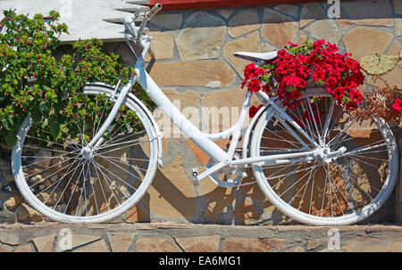 White vintage bicycle décorées avec des fleurs rouge se trouve près de vieux mur de pierre Banque D'Images
