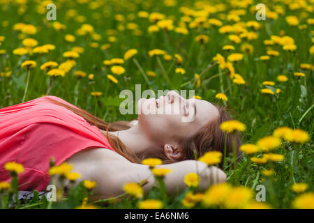 Belle jeune fille gisant sur le champ de pissenlits Banque D'Images