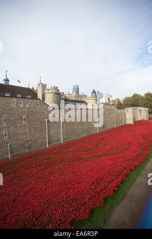 Coquelicots en céramique dans les douves de la Tour de Londres marquage commémorative Armistice, London, UK Banque D'Images