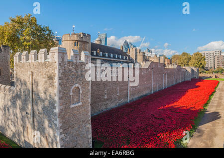 Les terres et les mers de sang ont balayé de rouge est une installation artistique par Paul Cummins commémorant le centenaire de la première guerre mondiale, Phillip Roberts Banque D'Images