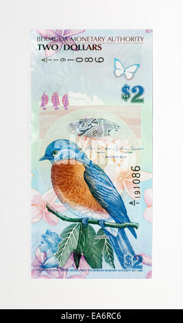 Les Bermudes 2 Deux Dollar Bank Note Banque D'Images