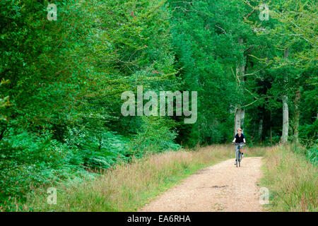 Teenage boy du vélo dans la New Forest, Hampshire, Royaume-Uni Banque D'Images