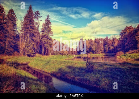 Forêt automne Paysage avec rivière et étang. Photographie Vintage style. Banque D'Images