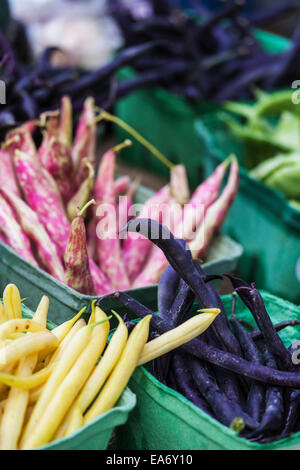 Jaune, violet et rouge et blanc haricots langue de dragon à un marché de fermiers ; Toronto, Ontario, Canada Banque D'Images