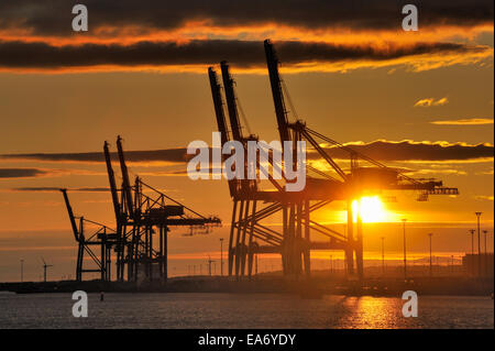 Coucher de soleil sur le port, sur les grues de la Suède. Banque D'Images