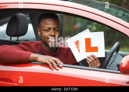 Smiling Teenage Boy dans une voiture passe examen de conduite Banque D'Images