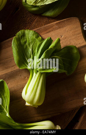 Matières Organic Baby Bok Choy sur un arrière-plan Banque D'Images