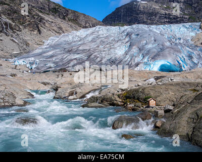 Nigardsbreen est un bras du glacier du grand glacier Jostedalsbreen. Nigardsbreen se trouve à environ 30 kilomètres au nord du village de Banque D'Images