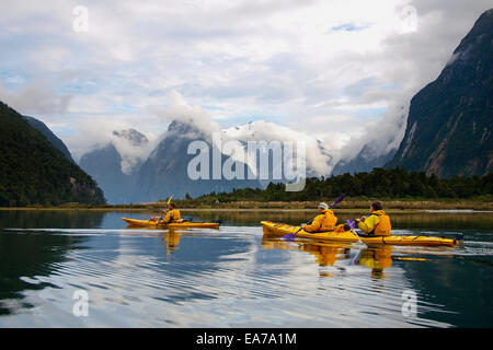 Kayak de mer dans la région de Milford Sound, Nouvelle Zélande Banque D'Images