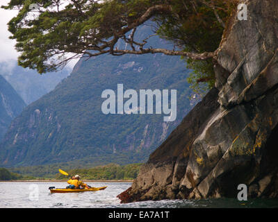 Kayak de mer dans la région de Milford Sound, Nouvelle Zélande Banque D'Images