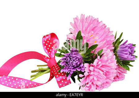 Bouquet d'asters avec bow isolated on white Banque D'Images