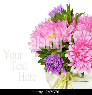 Bouquet d'asters roses isolated on white Banque D'Images