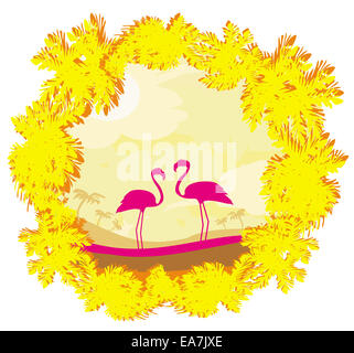 Flamingo couple dans wild nature paysage Banque D'Images