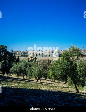 Mont des oliviers, horizon de la vieille ville, murs de la ville, église Sainte-Marie-Madeleine coupoles d'or, Dôme du Rocher, Jérusalem, Israël, Moyen-Orient Banque D'Images