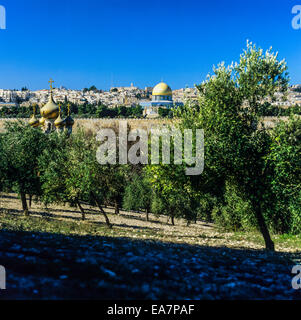 Mont des oliviers, horizon de la vieille ville, murs de la ville, église Sainte-Marie-Madeleine coupoles d'or, Dôme du Rocher, Jérusalem, Israël, Moyen-Orient Banque D'Images