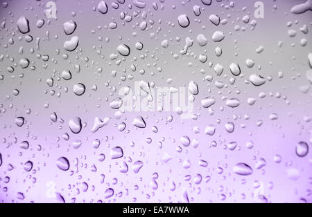 Résumé fond couleur violet avec de l'eau baisse Banque D'Images